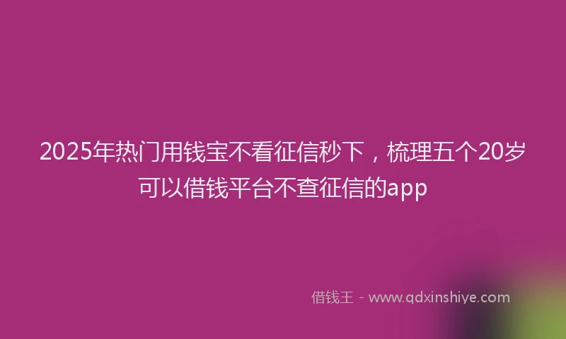 2025年热门用钱宝不看征信秒下，梳理五个20岁可以借钱平台不查征信的app