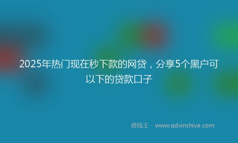 2025年热门现在秒下款的网贷，分享5个黑户可以下的贷款口子