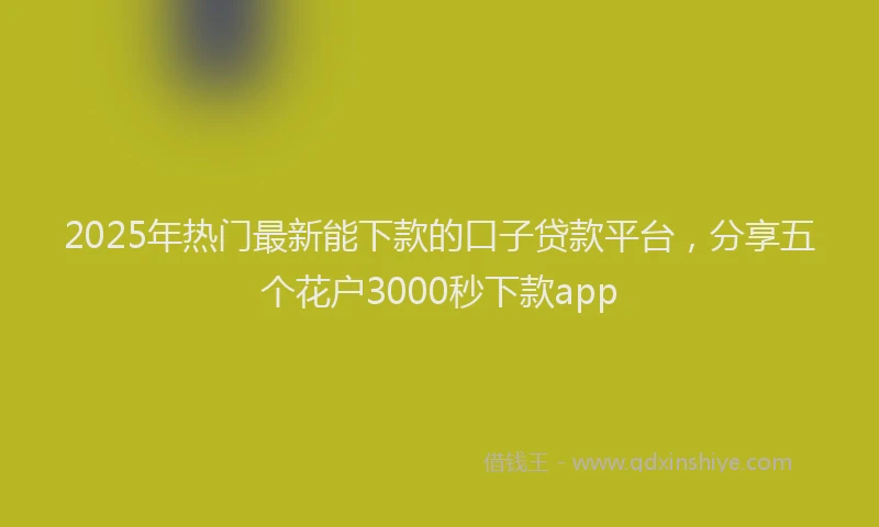 2025年热门最新能下款的口子贷款平台，分享五个花户3000秒下款app