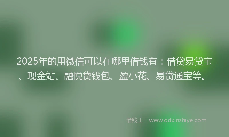 2025年的用微信可以在哪里借钱有：借贷易贷宝、现金站、融悦贷钱包、盈小花、易贷通宝等。