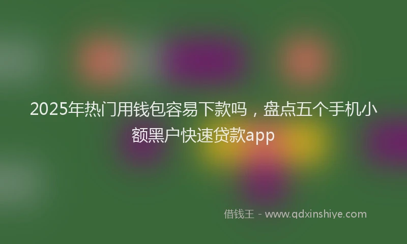 2025年热门用钱包容易下款吗，盘点五个手机小额黑户快速贷款app