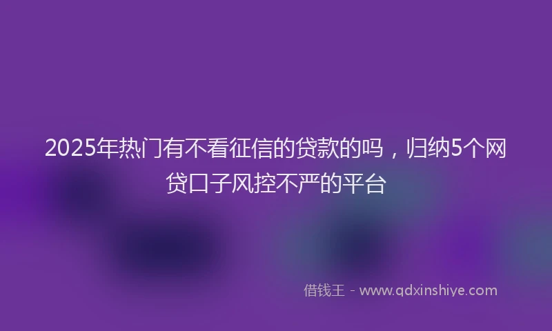 2025年热门有不看征信的贷款的吗，归纳5个网贷口子风控不严的平台