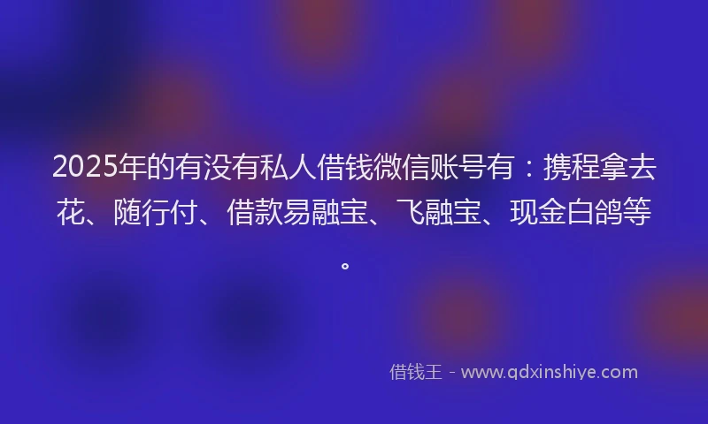 2025年的有没有私人借钱微信账号有：携程拿去花、随行付、借款易融宝、飞融宝、现金白鸽等。
