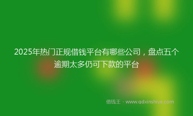 2025年热门正规借钱平台有哪些公司，盘点五个逾期太多仍可下款的平台