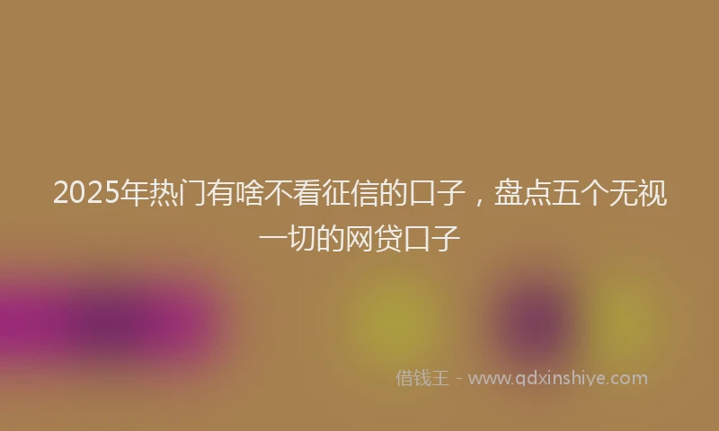 2025年热门有啥不看征信的口子，盘点五个无视一切的网贷口子
