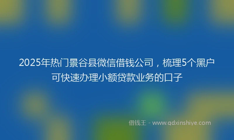 2025年热门景谷县微信借钱公司，梳理5个黑户可快速办理小额贷款业务的口子