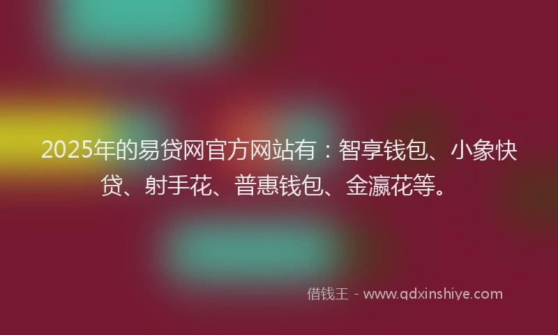 2025年的易贷网官方网站有：智享钱包、小象快贷、射手花、普惠钱包、金瀛花等。
