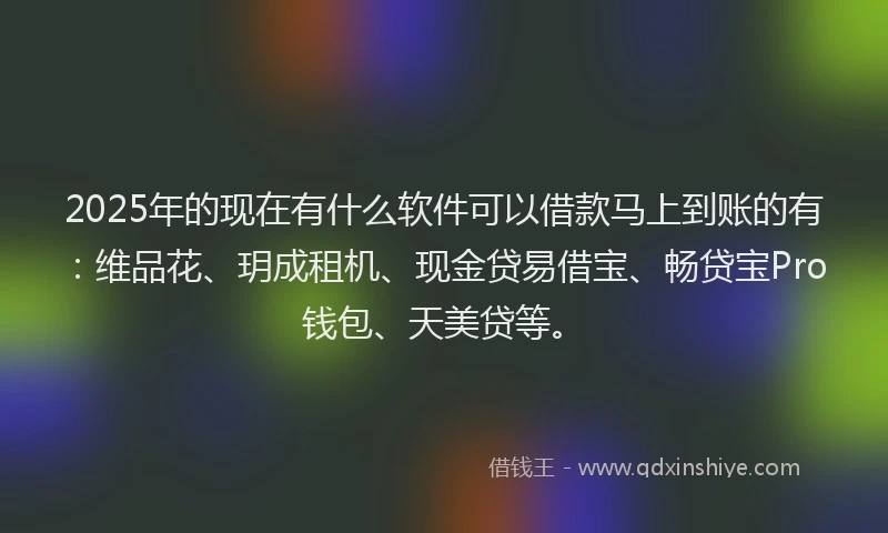 2025年的现在有什么软件可以借款马上到账的有：维品花、玥成租机、现金贷易借宝、畅贷宝Pro钱包、天美贷等。