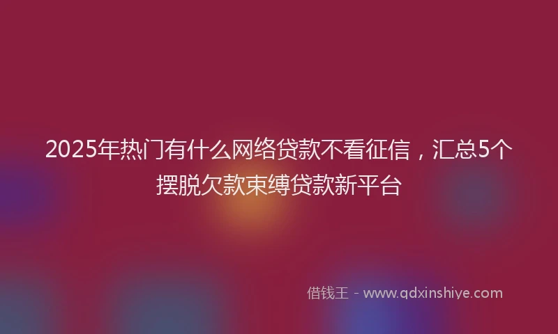 2025年热门有什么网络贷款不看征信，汇总5个摆脱欠款束缚贷款新平台