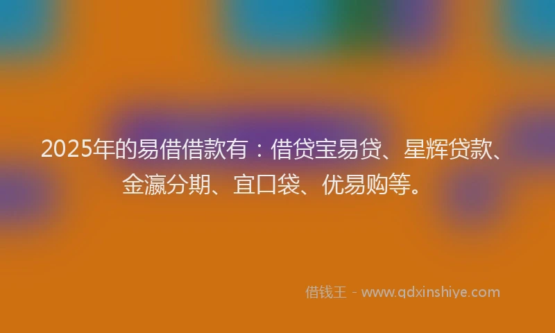 2025年的易借借款有：借贷宝易贷、星辉贷款、金瀛分期、宜口袋、优易购等。
