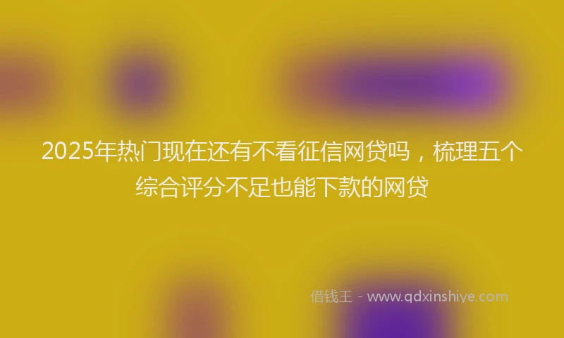2025年热门现在还有不看征信网贷吗，梳理五个综合评分不足也能下款的网贷