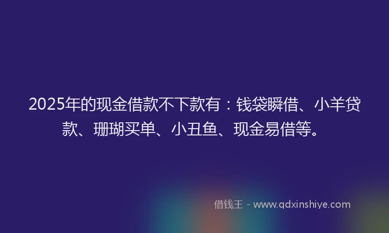 2025年的现金借款不下款有：钱袋瞬借、小羊贷款、珊瑚买单、小丑鱼、现金易借等。
