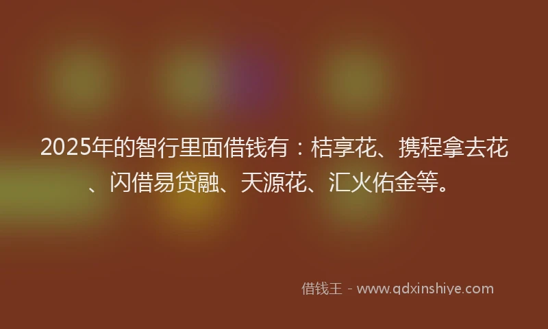 2025年的智行里面借钱有：桔享花、携程拿去花、闪借易贷融、天源花、汇火佑金等。