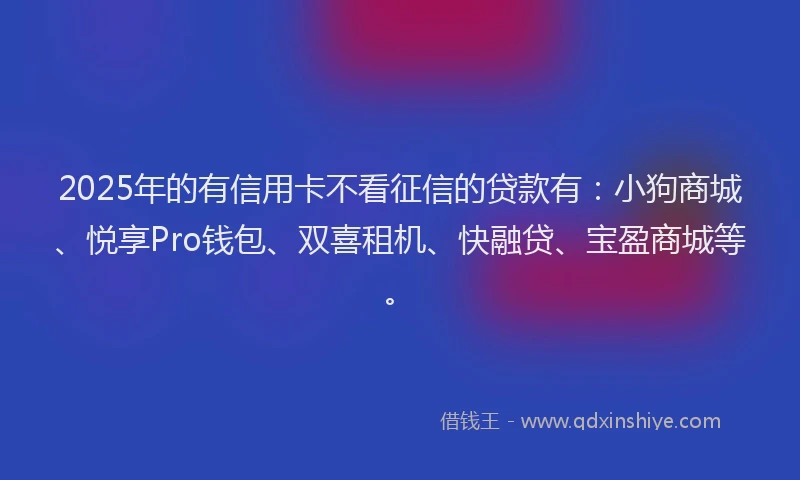 2025年的有信用卡不看征信的贷款有：小狗商城、悦享Pro钱包、双喜租机、快融贷、宝盈商城等。