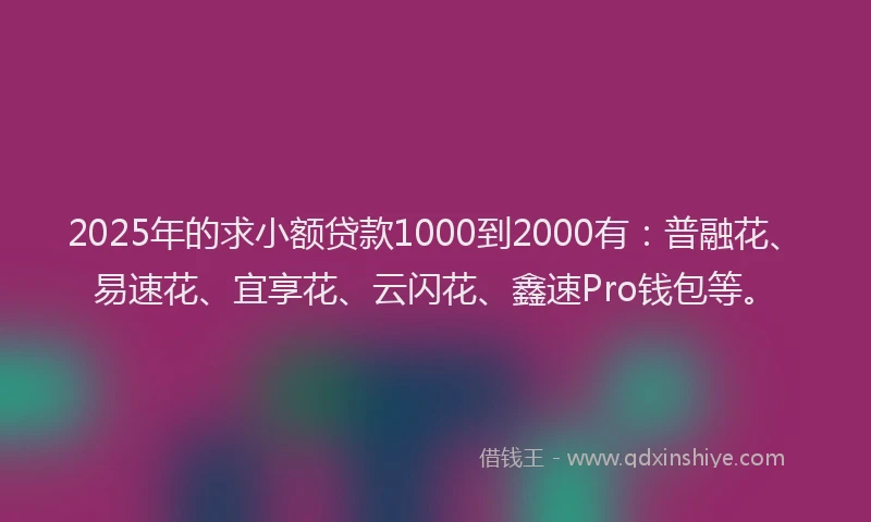 2025年的求小额贷款1000到2000有：普融花、易速花、宜享花、云闪花、鑫速Pro钱包等。