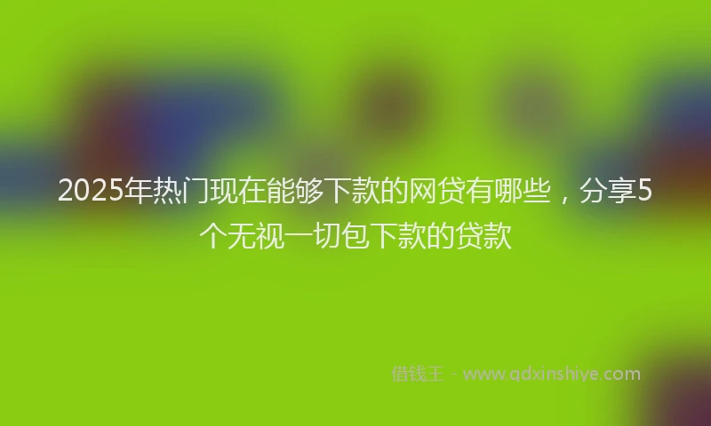 2025年热门现在能够下款的网贷有哪些，分享5个无视一切包下款的贷款