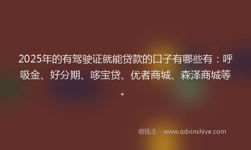 2025年的有驾驶证就能贷款的口子有哪些有：呼吸金、好分期、哆宝贷、优者商城、森泽商城等。