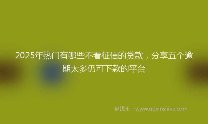 2025年热门有哪些不看征信的贷款，分享五个逾期太多仍可下款的平台