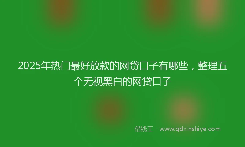 2025年热门最好放款的网贷口子有哪些，整理五个无视黑白的网贷口子