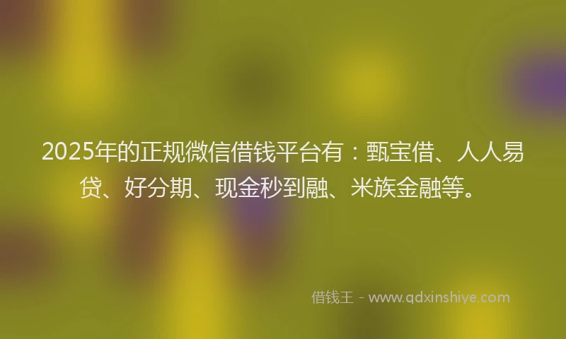 2025年的正规微信借钱平台有：甄宝借、人人易贷、好分期、现金秒到融、米族金融等。