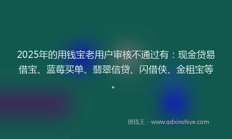 2025年的用钱宝老用户审核不通过有：现金贷易借宝、蓝莓买单、翡翠信贷、闪借侠、金租宝等。