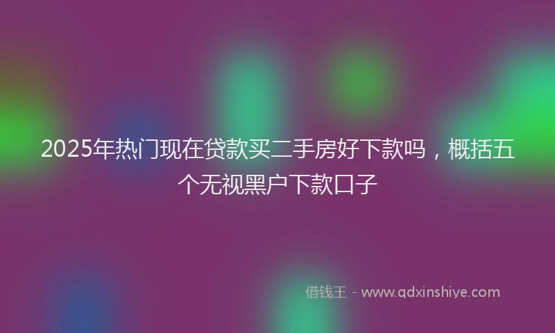 2025年热门现在贷款买二手房好下款吗，概括五个无视黑户下款口子