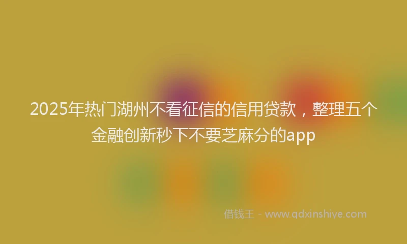 2025年热门湖州不看征信的信用贷款，整理五个金融创新秒下不要芝麻分的app