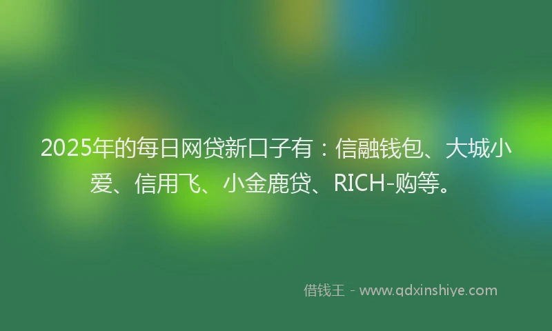 2025年的每日网贷新口子有：信融钱包、大城小爱、信用飞、小金鹿贷、RICH-购等。