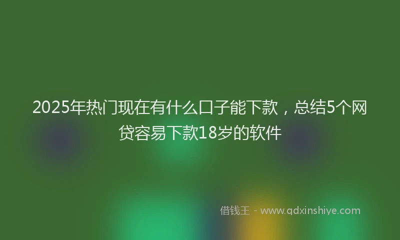 2025年热门现在有什么口子能下款，总结5个网贷容易下款18岁的软件