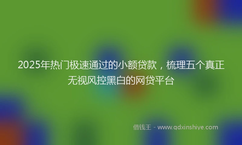 2025年热门极速通过的小额贷款，梳理五个真正无视风控黑白的网贷平台