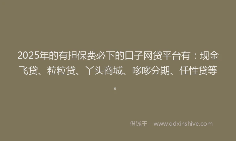 2025年的有担保费必下的口子网贷平台有：现金飞贷、粒粒贷、丫头商城、哆哆分期、任性贷等。