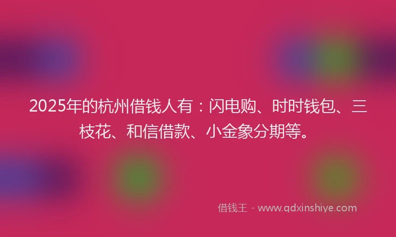 2025年的杭州借钱人有：闪电购、时时钱包、三枝花、和信借款、小金象分期等。