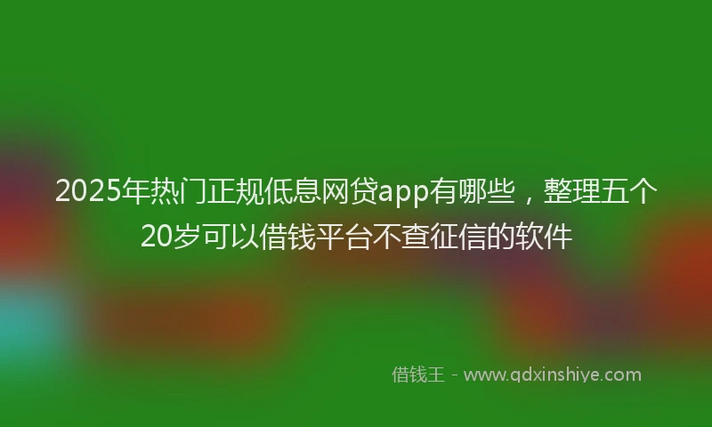 2025年热门正规低息网贷app有哪些，整理五个20岁可以借钱平台不查征信的软件