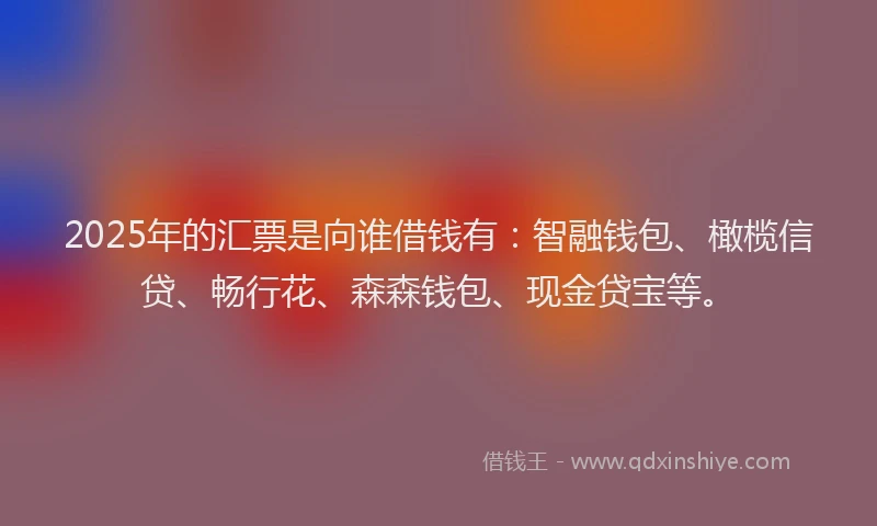 2025年的汇票是向谁借钱有：智融钱包、橄榄信贷、畅行花、森森钱包、现金贷宝等。