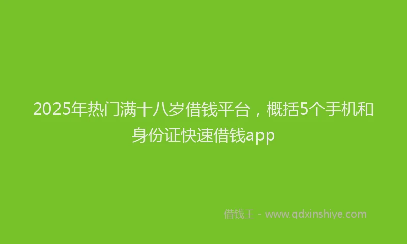 2025年热门满十八岁借钱平台，概括5个手机和身份证快速借钱app
