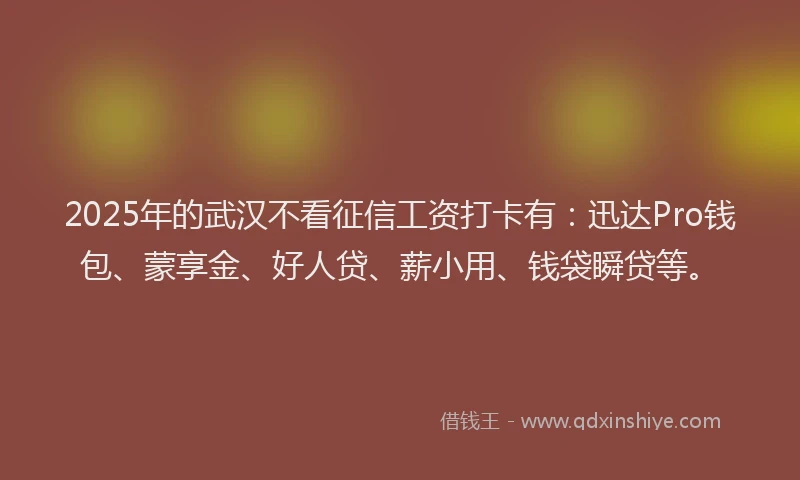 2025年的武汉不看征信工资打卡有：迅达Pro钱包、蒙享金、好人贷、薪小用、钱袋瞬贷等。