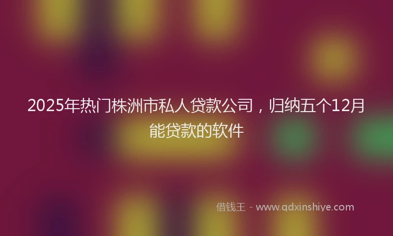 2025年热门株洲市私人贷款公司，归纳五个12月能贷款的软件