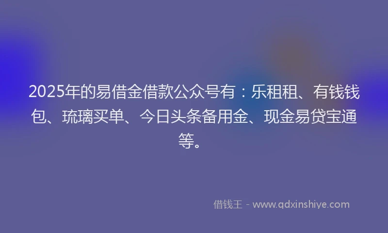 2025年的易借金借款公众号有：乐租租、有钱钱包、琉璃买单、今日头条备用金、现金易贷宝通等。