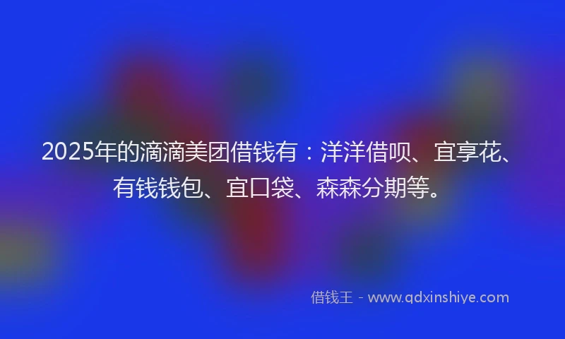 2025年的滴滴美团借钱有：洋洋借呗、宜享花、有钱钱包、宜口袋、森森分期等。