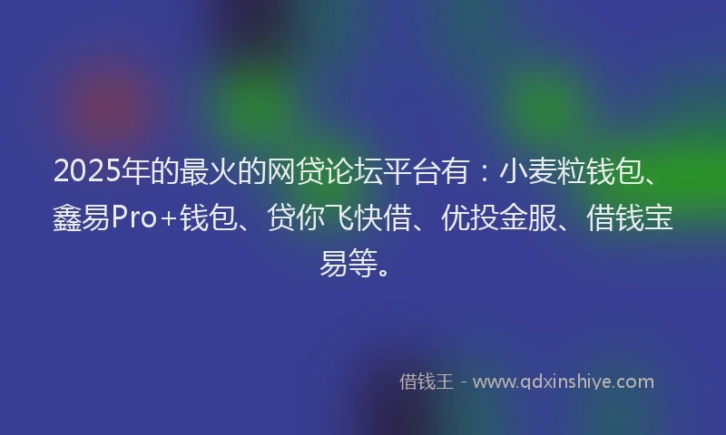 2025年的最火的网贷论坛平台有：小麦粒钱包、鑫易Pro+钱包、贷你飞快借、优投金服、借钱宝易等。