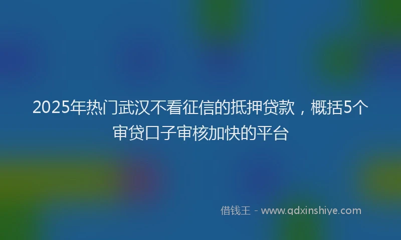 2025年热门武汉不看征信的抵押贷款，概括5个审贷口子审核加快的平台