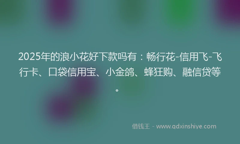 2025年的浪小花好下款吗有：畅行花-信用飞-飞行卡、口袋信用宝、小金鸽、蜂狂购、融信贷等。