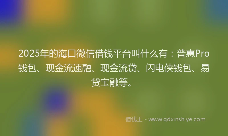 2025年的海口微信借钱平台叫什么有：普惠Pro钱包、现金流速融、现金流贷、闪电侠钱包、易贷宝融等。