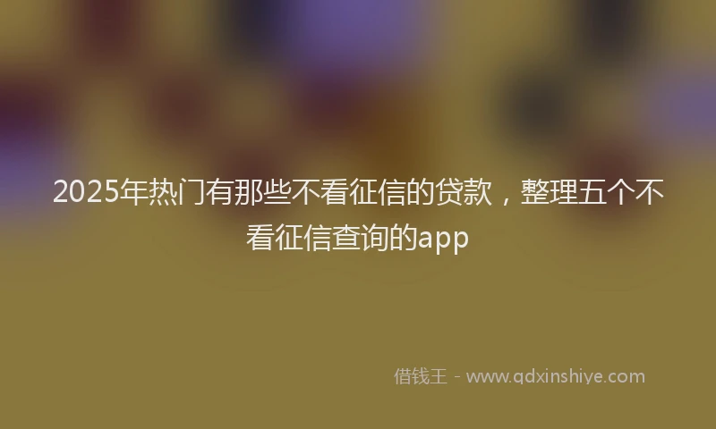 2025年热门有那些不看征信的贷款，整理五个不看征信查询的app