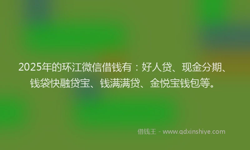 2025年的环江微信借钱有：好人贷、现金分期、钱袋快融贷宝、钱满满贷、金悦宝钱包等。