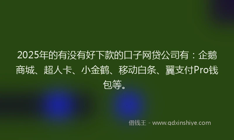 2025年的有没有好下款的口子网贷公司有：企鹅商城、超人卡、小金鹤、移动白条、翼支付Pro钱包等。
