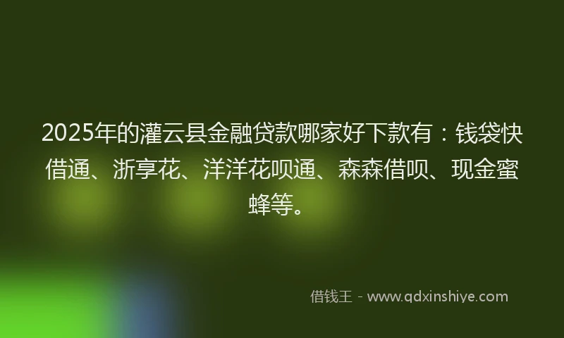 2025年的灌云县金融贷款哪家好下款有：钱袋快借通、浙享花、洋洋花呗通、森森借呗、现金蜜蜂等。