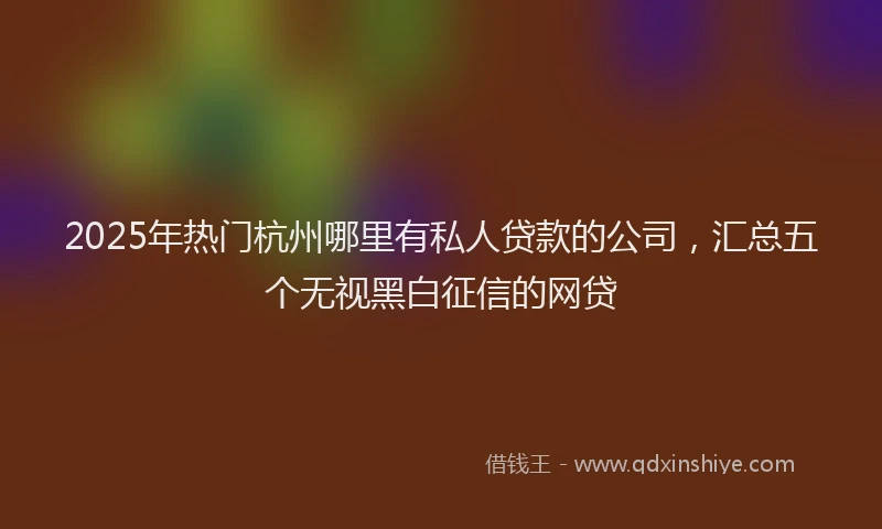 2025年热门杭州哪里有私人贷款的公司，汇总五个无视黑白征信的网贷