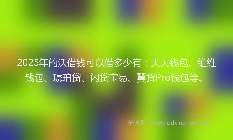 2025年的沃借钱可以借多少有：天天钱包、维维钱包、琥珀贷、闪贷宝易、翼贷Pro钱包等。