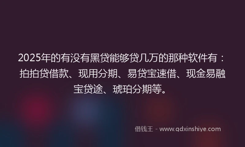 2025年的有没有黑贷能够贷几万的那种软件有：拍拍贷借款、现用分期、易贷宝速借、现金易融宝贷途、琥珀分期等。